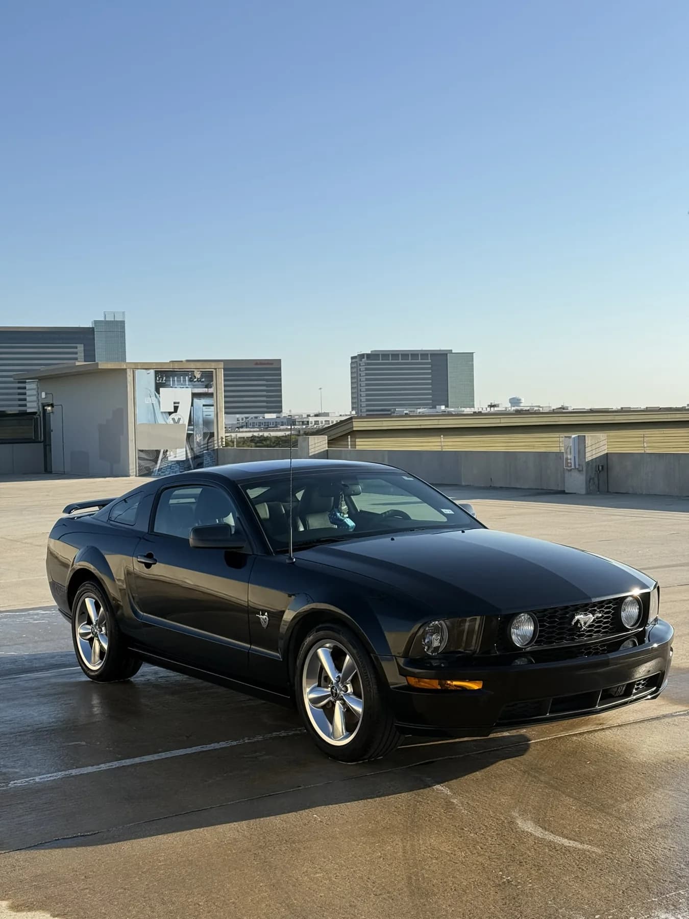 Black Ford Mustang photographed outdoors