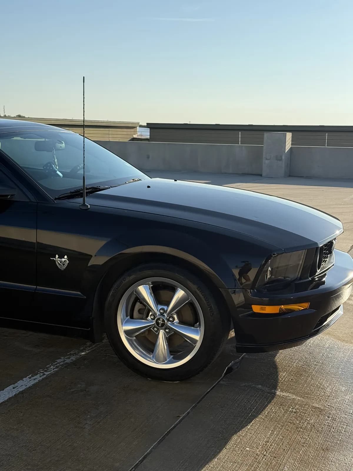 Mustang bodywork photographed by JX Auto Lab