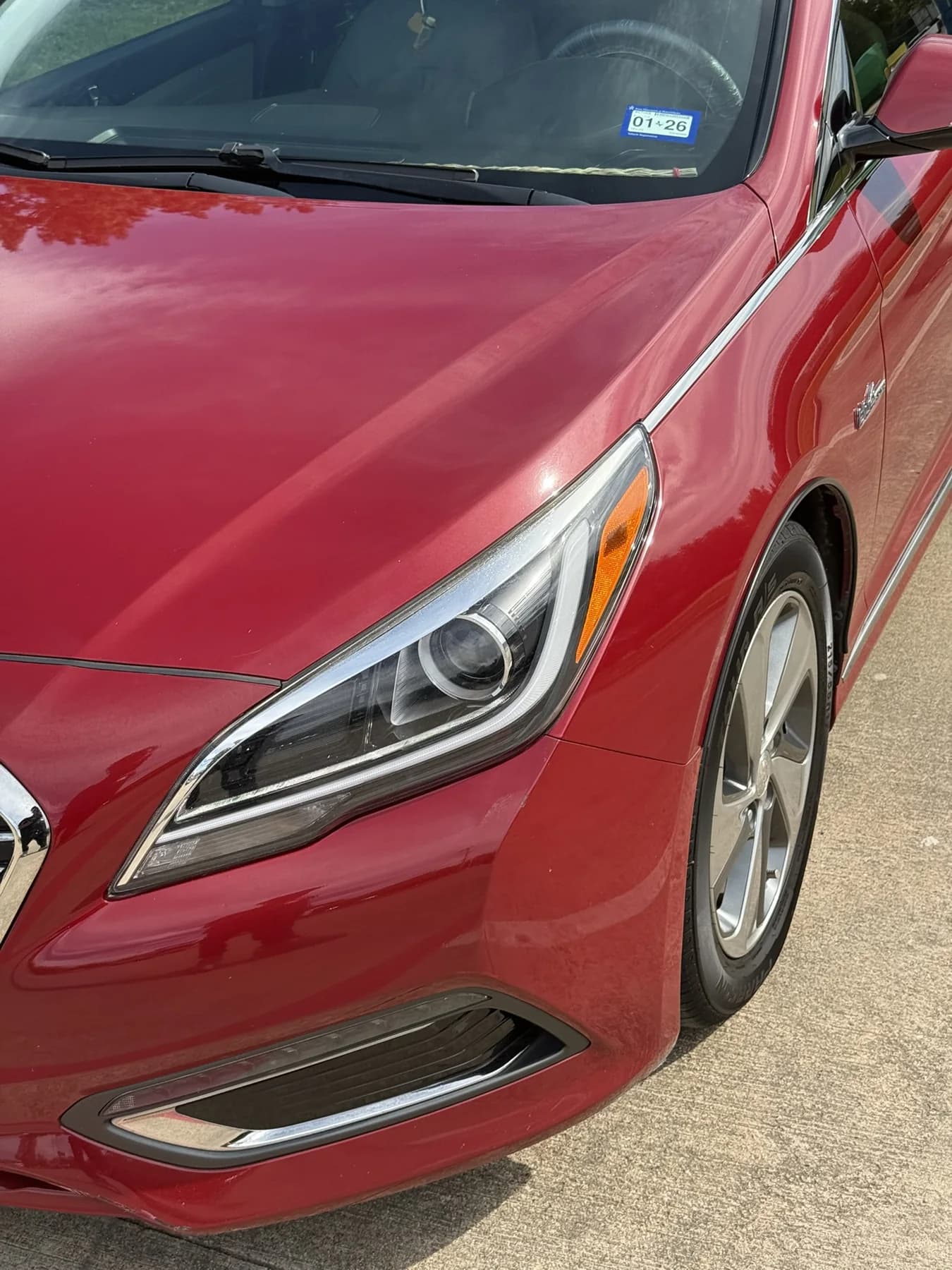 Red sedan front end and hood